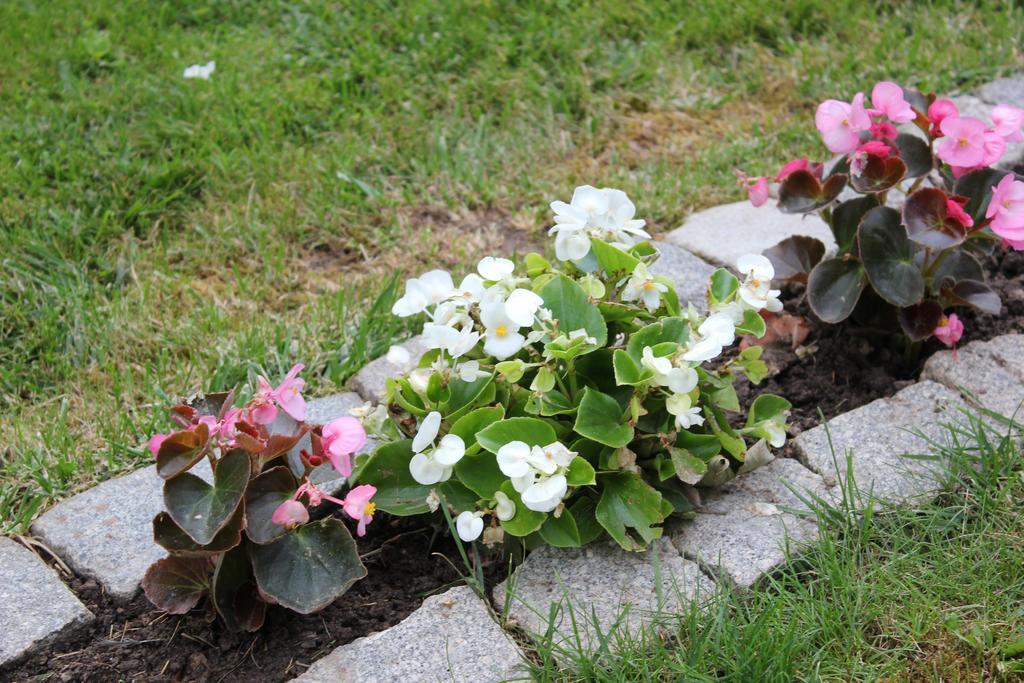 Guesthouse Edelnice Gornja Trepca ภายนอก รูปภาพ