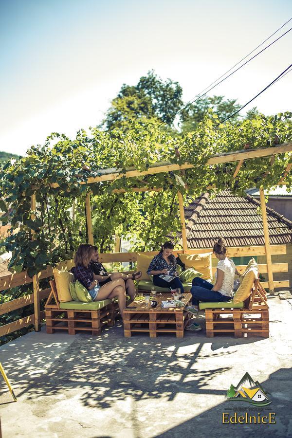 Guesthouse Edelnice Gornja Trepca ภายนอก รูปภาพ